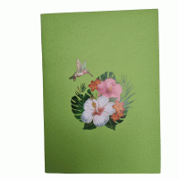 Pop-up groene kolibrie kaart